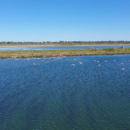 Casavacanza Mare ! 100 Metri Dalla Spiaggia! Дом отдыха Лидо-ди-Спина