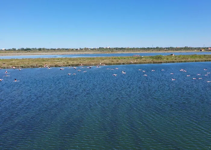 Casavacanza Mare ! 100 Metri Dalla Spiaggia! Holiday home Lido di Spina