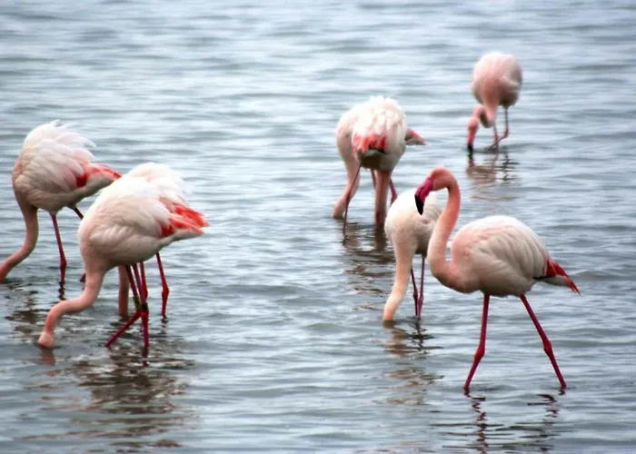 Casavacanza Mare ! 100 Metri Dalla Spiaggia! Holiday home